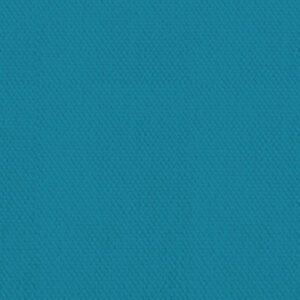 Devonstone Quackers - DV 2762 Turquoise