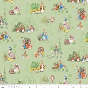 Peter Rabbit and Friends - CD15861 Fern