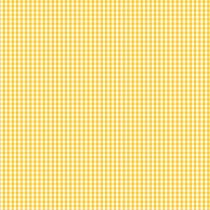 Devonstone Fundamentals Check 1/8 Inch – DV 2938 Sunnyside