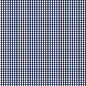 Devonstone Fundamentals Check 1/8 Inch – DV 2956 Gambier Blue