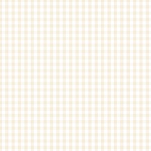 Devonstone Fundamentals Check 1/4 Inch – DV 2976 Natural Cream