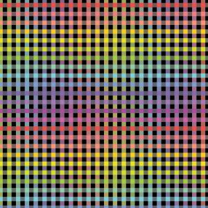 Devonstone Fundamentals Check 1/4 Inch – DV 3055 Rainbow on Black