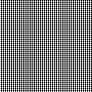 Devonstone Bias Binding - 1/8 Inch Check - Black DVBB2932