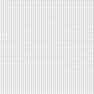 Devonstone Bias Binding - 1/8 Inch Check - Silver Gum DVBB2935