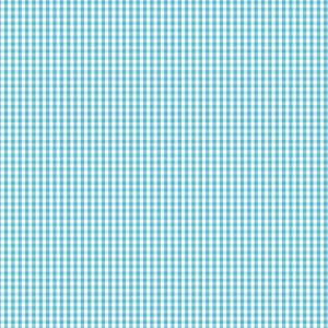 Devonstone Bias Binding - 1/8 Inch Check - Barrier Blue DVBB2953