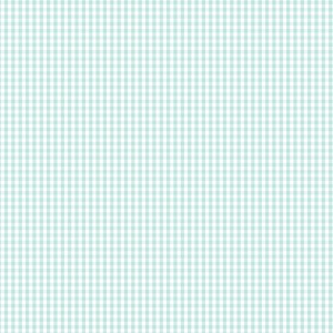 Devonstone Bias Binding - 1/8 Inch Check - Seafoam DVBB2959