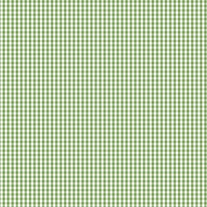 Devonstone Bias Binding - 1/8 Inch Check - Crocodile DVBB2962