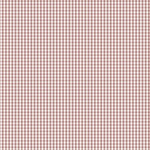 Devonstone Bias Binding - 1/8 Inch Check - Antique Red DVBB2989