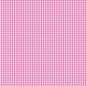 Devonstone Bias Binding - 1/8 Inch Check - Kylie DVBB2996