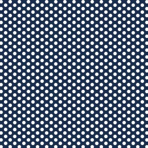 Devonstone Fundamentals Spot 1/4 inch – DV 3041 Gambier Blue