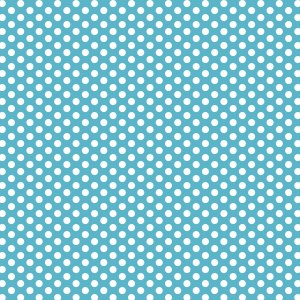 Devonstone Fundamentals Spot 1/4 inch – DV 3043 Barrier Blue