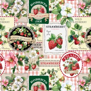 Strawberry Meadows by Devonstone Collection - DV7499 - Cotton Canvas
