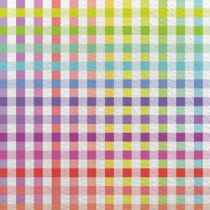 Gingham Seersucker by Devonstone Collection - DVF1207 Rainbow on White