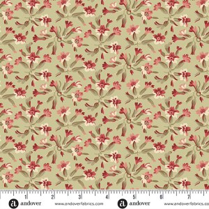 Forest Glen by Renee Nanneman - 10055VE Tuberose Celery Root