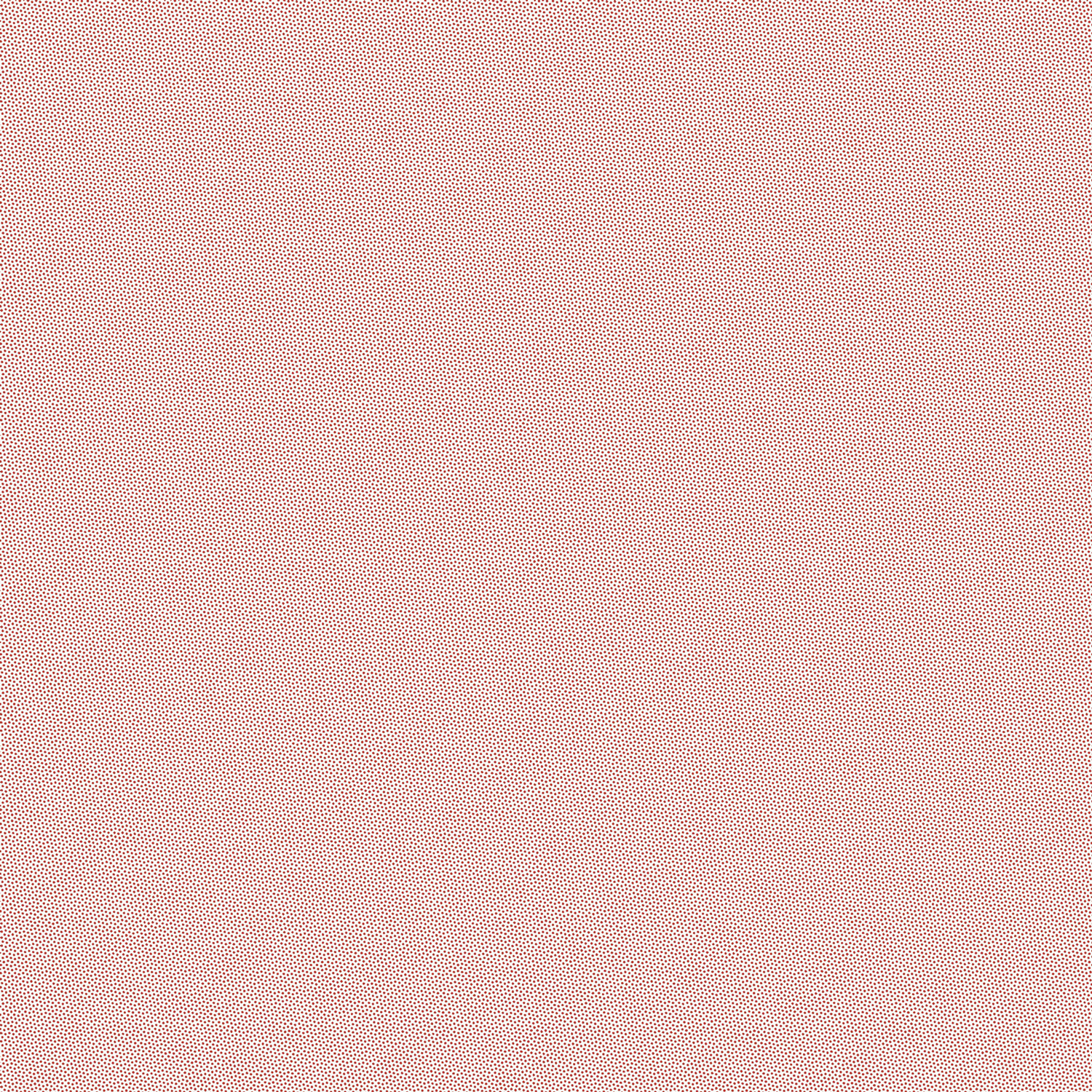 Petra Prins – Pindot – Coral