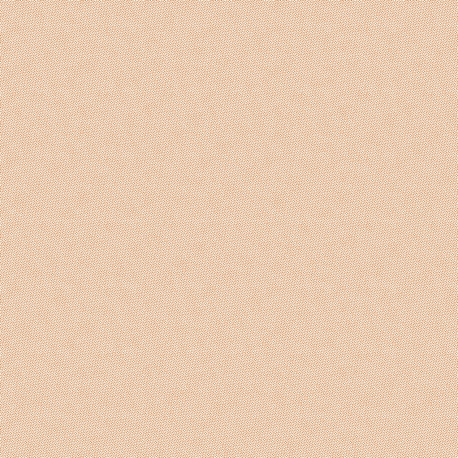 Petra Prins – Pindot – Pumpkin